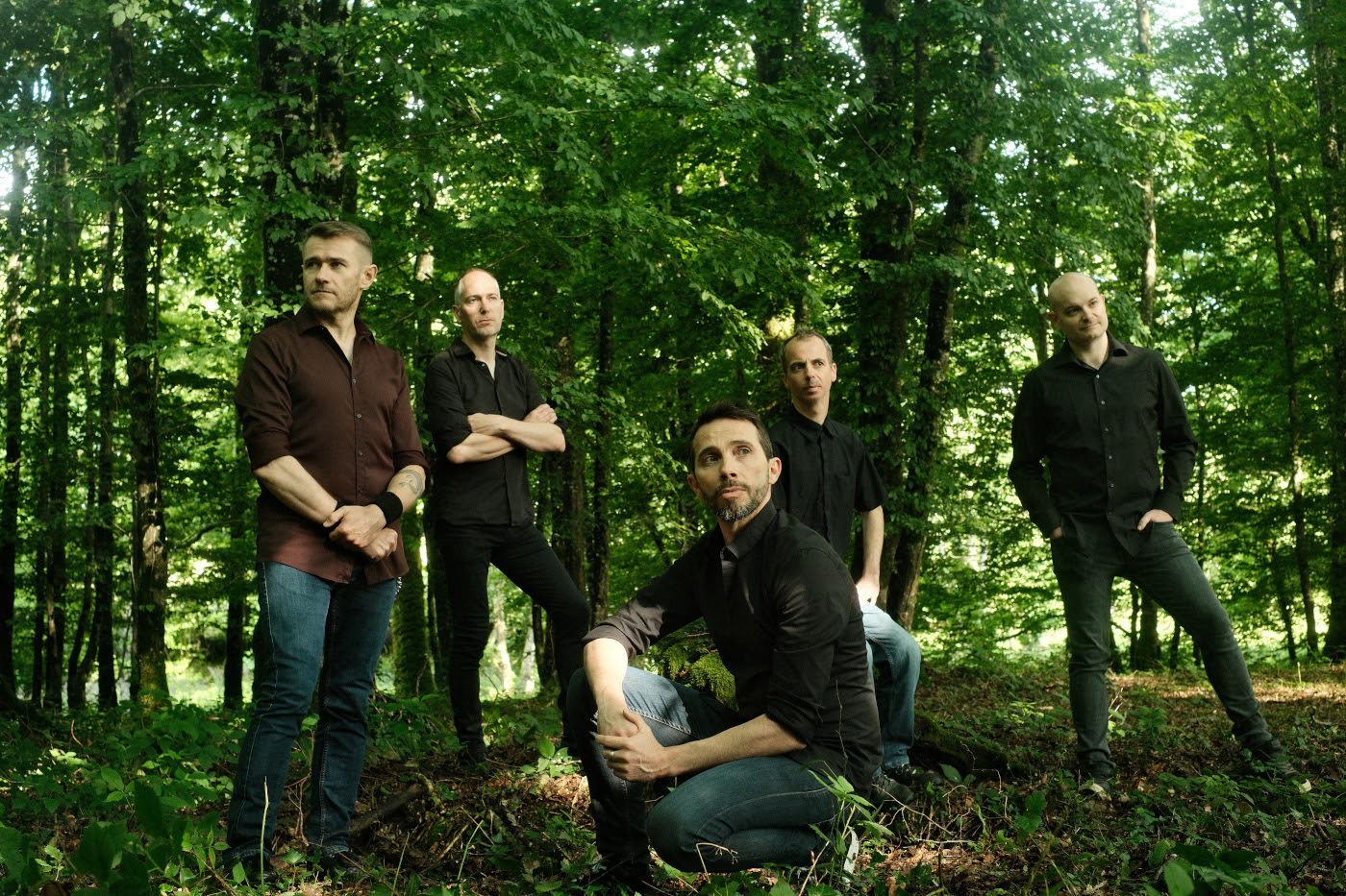 The Old Dead Tree’s “Solastalgia” Channels Anxiety Over The Fate Of The Planet