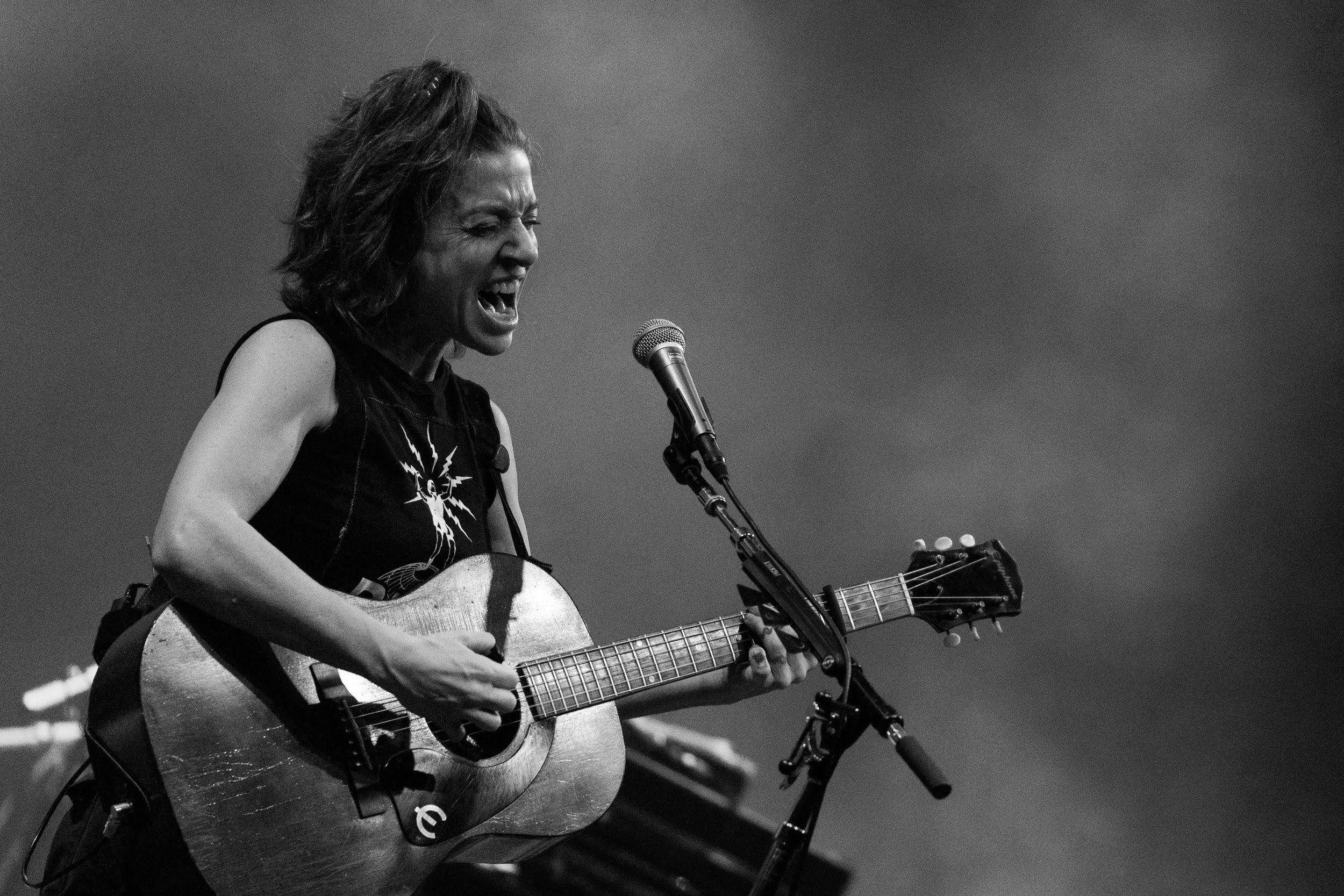 Ani DiFranco & Stone Gossard Spread “The Message”